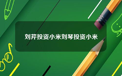 刘芹投资小米刘琴投资小米