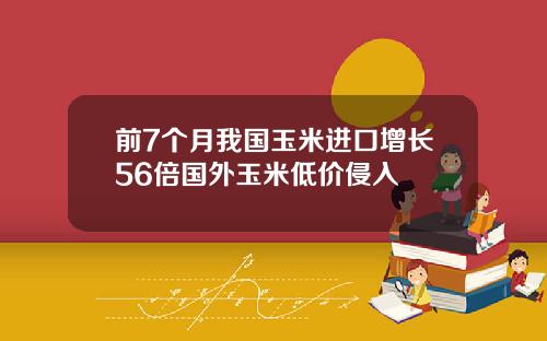 前7个月我国玉米进口增长56倍国外玉米低价侵入
