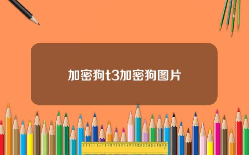 加密狗t3加密狗图片