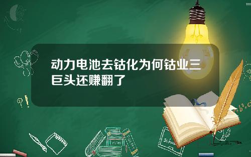 动力电池去钴化为何钴业三巨头还赚翻了