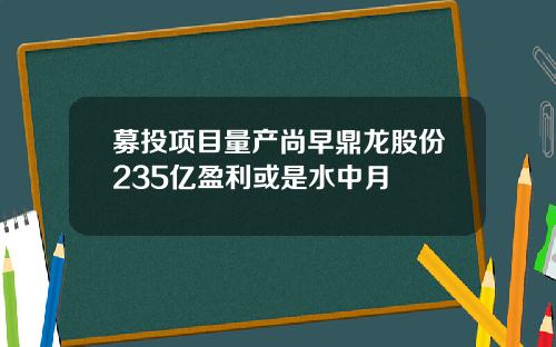 募投项目量产尚早鼎龙股份235亿盈利或是水中月