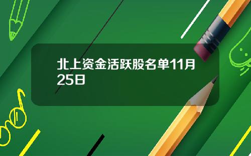 北上资金活跃股名单11月25日