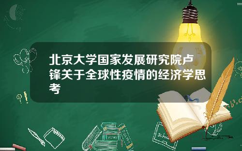 北京大学国家发展研究院卢锋关于全球性疫情的经济学思考