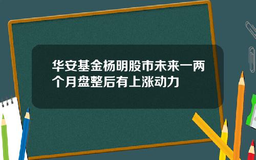 华安基金杨明股市未来一两个月盘整后有上涨动力