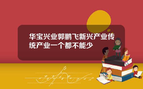 华宝兴业郭鹏飞新兴产业传统产业一个都不能少