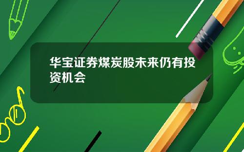 华宝证券煤炭股未来仍有投资机会