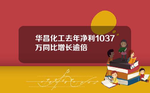 华昌化工去年净利1037万同比增长逾倍