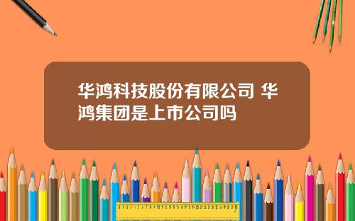 华鸿科技股份有限公司 华鸿集团是上市公司吗