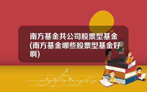 南方基金共公司股票型基金(南方基金哪些股票型基金好啊)