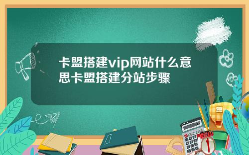 卡盟搭建vip网站什么意思卡盟搭建分站步骤