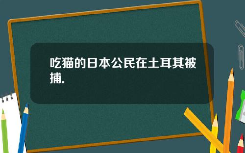 吃猫的日本公民在土耳其被捕.
