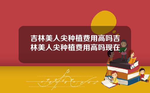 吉林美人尖种植费用高吗吉林美人尖种植费用高吗现在