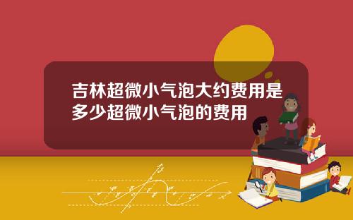 吉林超微小气泡大约费用是多少超微小气泡的费用