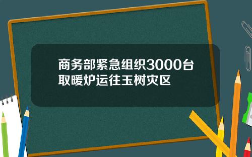 商务部紧急组织3000台取暖炉运往玉树灾区