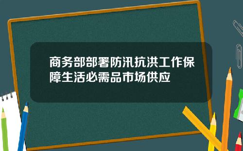 商务部部署防汛抗洪工作保障生活必需品市场供应