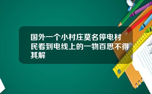 国外一个小村庄莫名停电村民看到电线上的一物百思不得其解