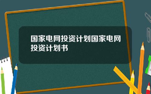 国家电网投资计划国家电网投资计划书