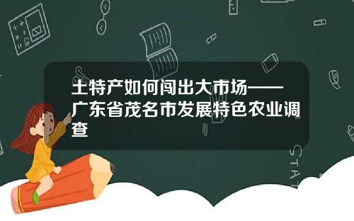 土特产如何闯出大市场——广东省茂名市发展特色农业调查