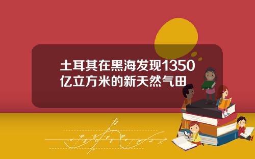 土耳其在黑海发现1350亿立方米的新天然气田