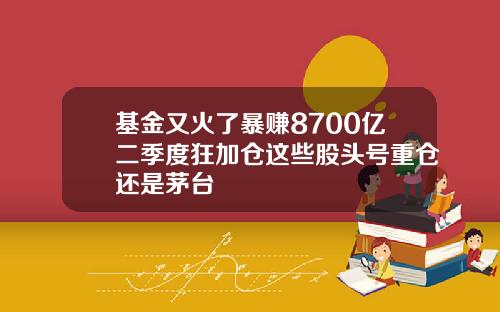 基金又火了暴赚8700亿二季度狂加仓这些股头号重仓还是茅台