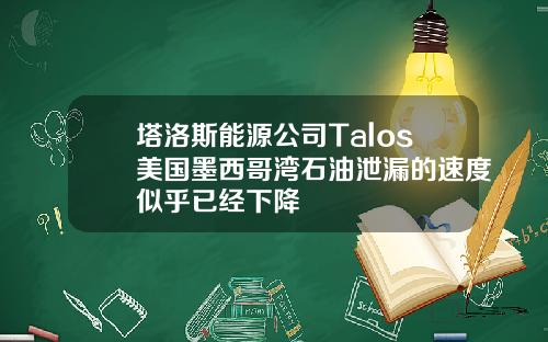 塔洛斯能源公司Talos美国墨西哥湾石油泄漏的速度似乎已经下降