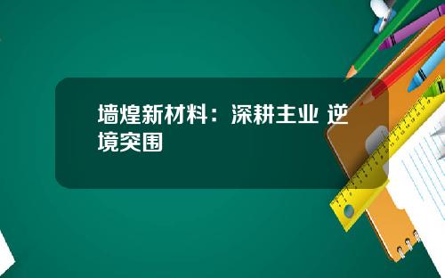 墙煌新材料：深耕主业 逆境突围