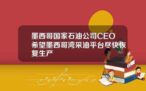 墨西哥国家石油公司CEO希望墨西哥湾采油平台尽快恢复生产