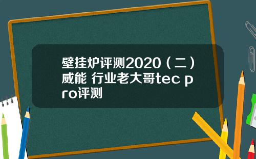 壁挂炉评测2020（二）威能 行业老大哥tec pro评测