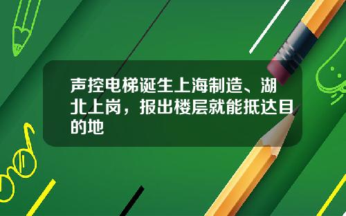 声控电梯诞生上海制造、湖北上岗，报出楼层就能抵达目的地