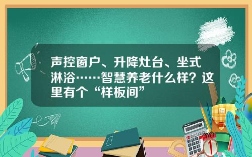 声控窗户、升降灶台、坐式淋浴……智慧养老什么样？这里有个“样板间”