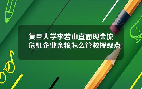 复旦大学李若山直面现金流危机企业余粮怎么管教授观点