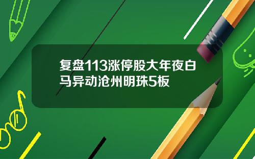复盘113涨停股大年夜白马异动沧州明珠5板