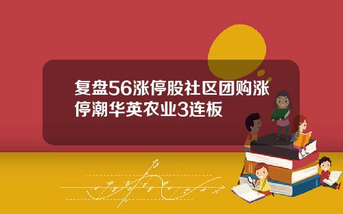 复盘56涨停股社区团购涨停潮华英农业3连板