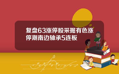 复盘63涨停股采掘有色涨停潮南边轴承5连板