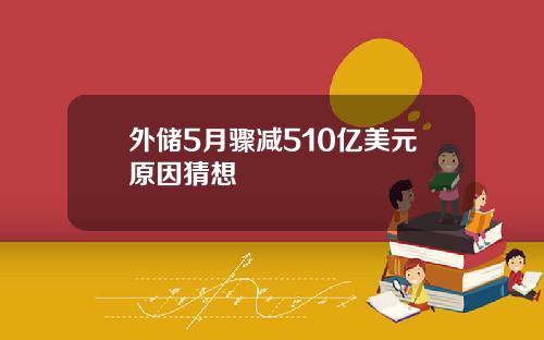 外储5月骤减510亿美元原因猜想