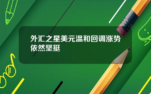 外汇之星美元温和回调涨势依然坚挺