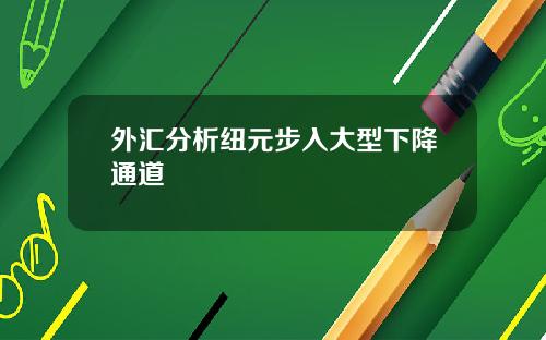外汇分析纽元步入大型下降通道