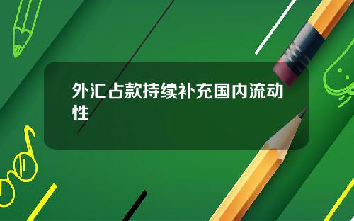 外汇占款持续补充国内流动性