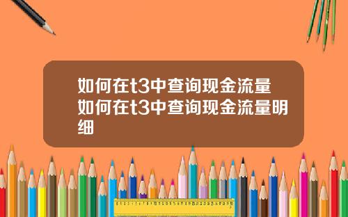 如何在t3中查询现金流量如何在t3中查询现金流量明细