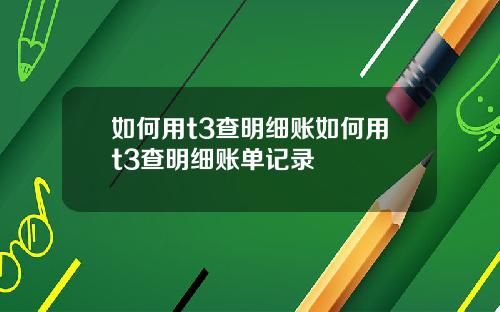 如何用t3查明细账如何用t3查明细账单记录