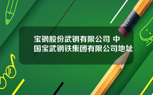 宝钢股份武钢有限公司 中国宝武钢铁集团有限公司地址