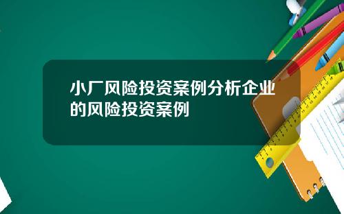 小厂风险投资案例分析企业的风险投资案例