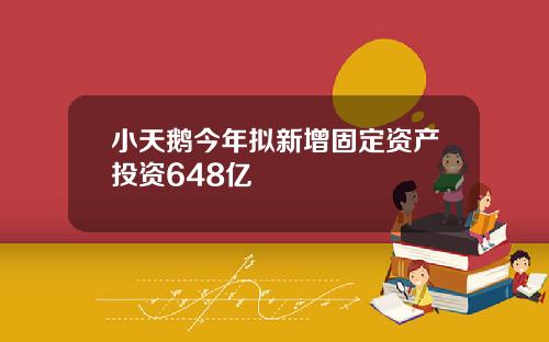 小天鹅今年拟新增固定资产投资648亿
