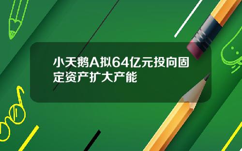 小天鹅A拟64亿元投向固定资产扩大产能