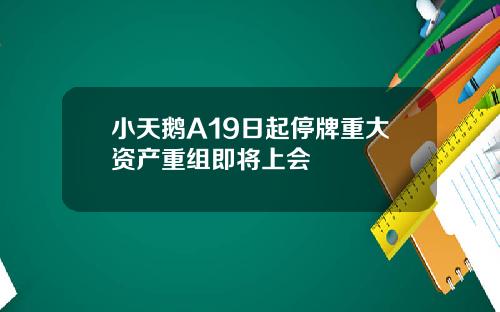 小天鹅A19日起停牌重大资产重组即将上会