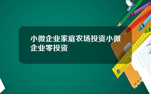 小微企业家庭农场投资小微企业零投资