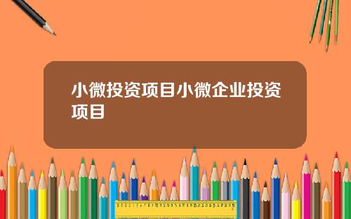 小微投资项目小微企业投资项目