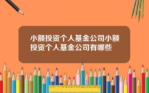 小额投资个人基金公司小额投资个人基金公司有哪些