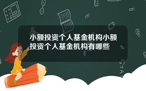 小额投资个人基金机构小额投资个人基金机构有哪些