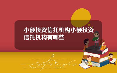 小额投资信托机构小额投资信托机构有哪些